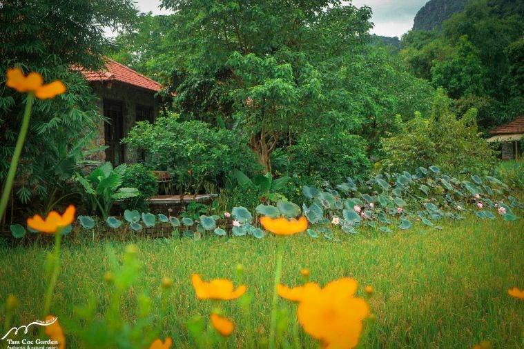 Sunset Valley Bungalow